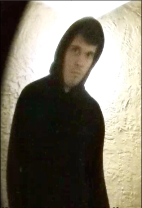 stalker 1