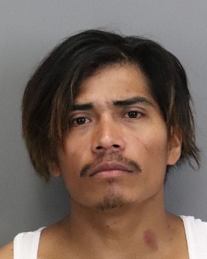 Miranda booking Photo