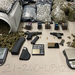 Guns and Case
