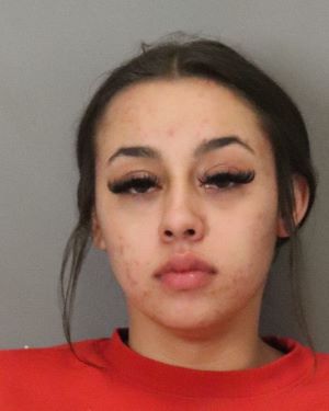 laneyi rubino suspect 2