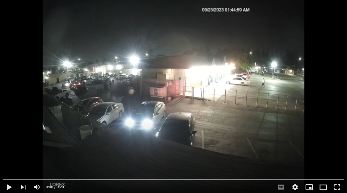Screenshot of video