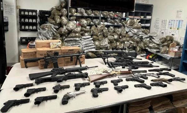 guns and weed small