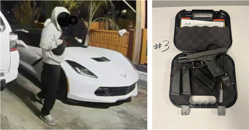 Final Collage of Surveillance and Gun