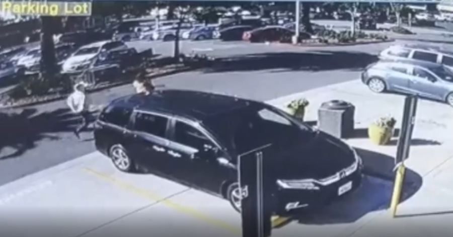 Purse Snatch Surveillance Video-screenshot resized