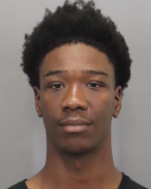 Damauriae Greene 20 years old