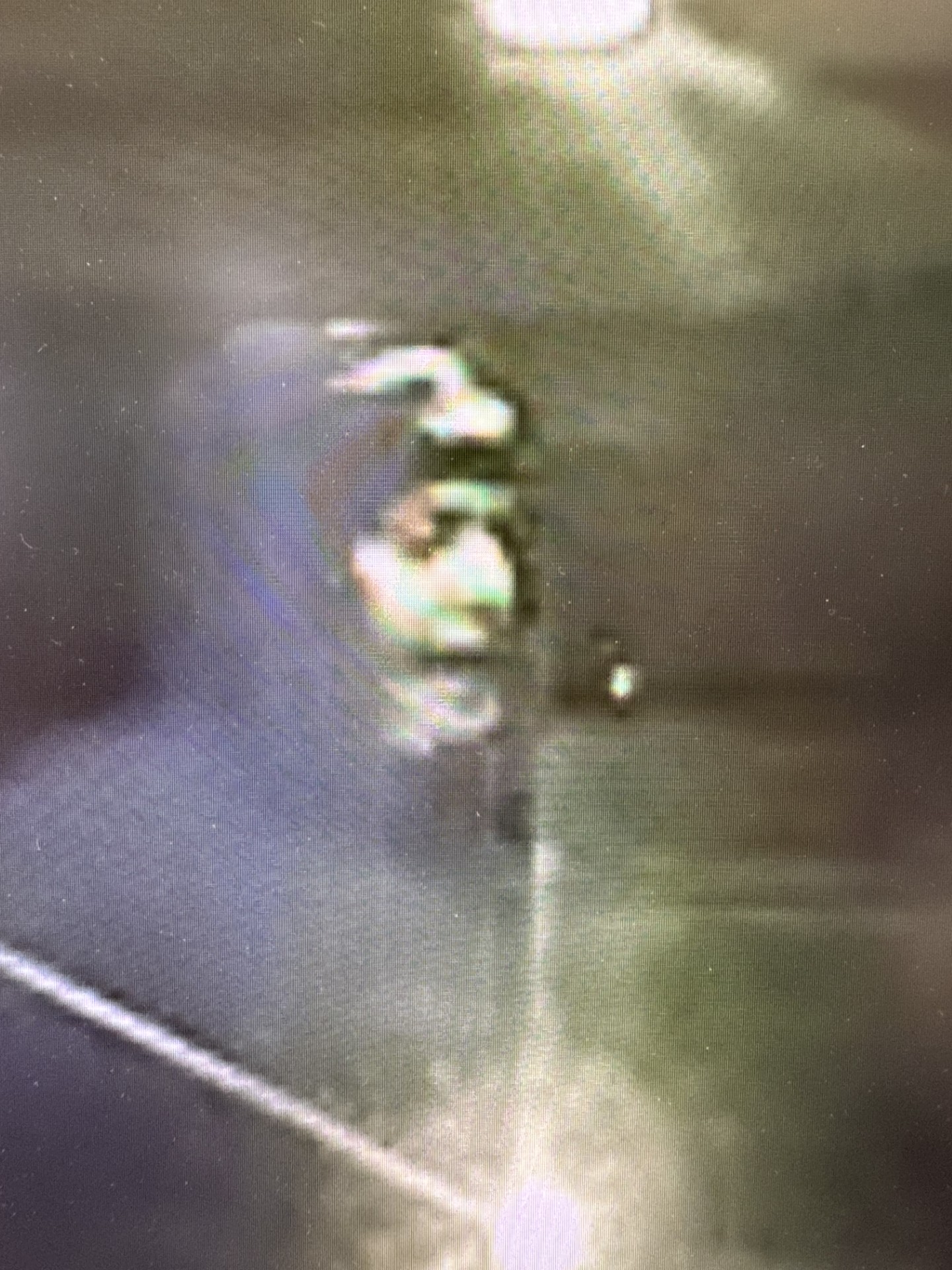 Suspect close up from camera -2