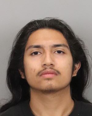 Diego Roque-Arellano 19YO