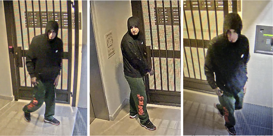 Collage of Vehicle Burglaries Suspect