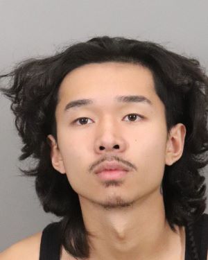 Suspect Nathan Le 18 YO